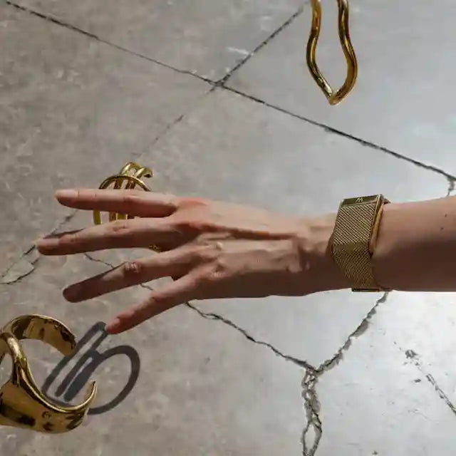 MERIDIAN